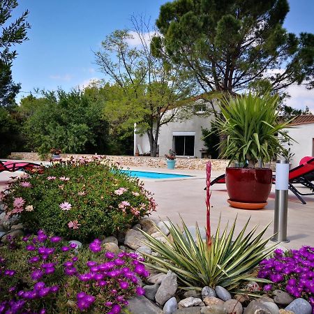 Mas Des Tournevents Bed & Breakfast Lezignan-Corbieres Exterior photo