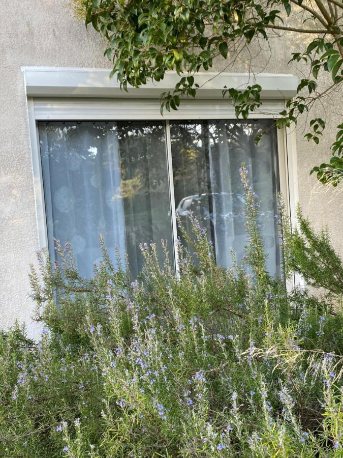 Mas Des Tournevents Bed & Breakfast Lezignan-Corbieres Exterior photo