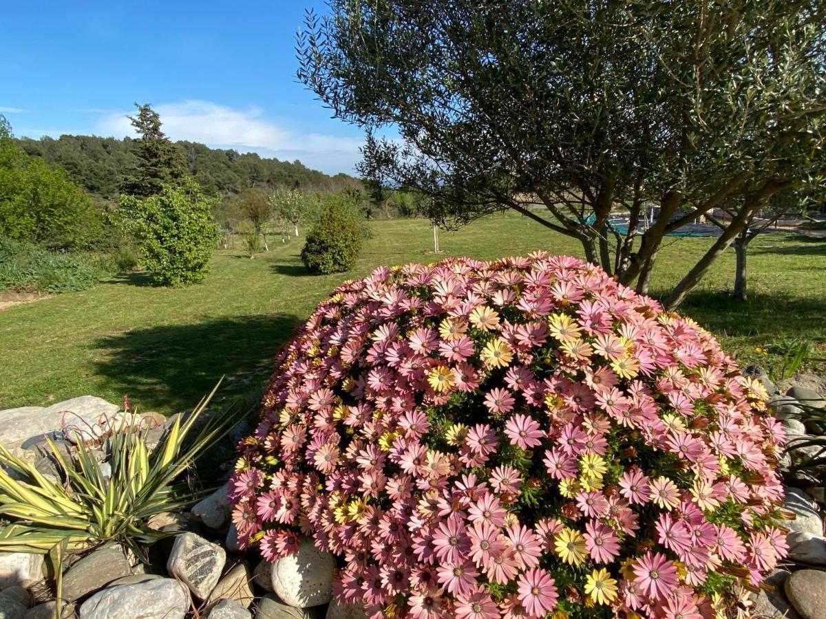 Mas Des Tournevents Bed & Breakfast Lezignan-Corbieres Exterior photo