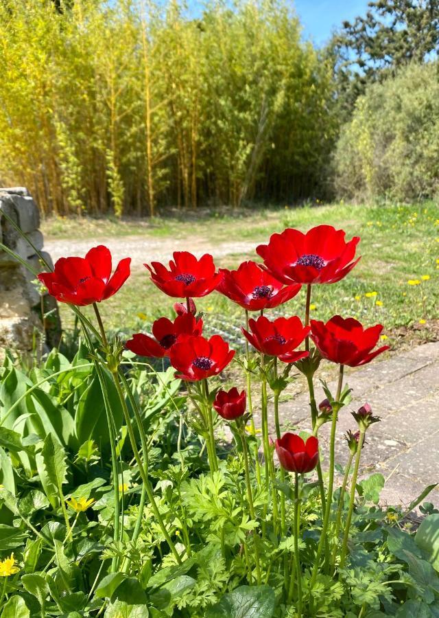 Mas Des Tournevents Bed & Breakfast Lezignan-Corbieres Exterior photo