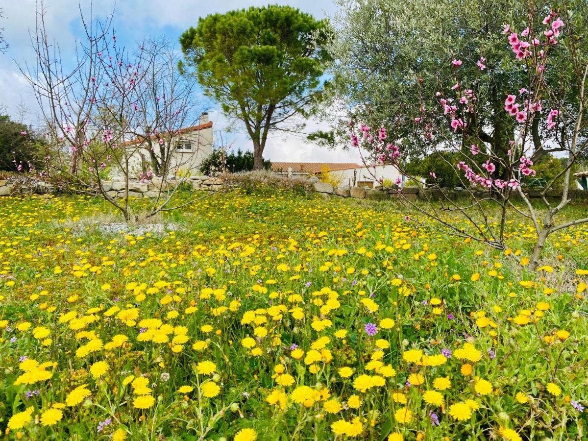 Mas Des Tournevents Bed & Breakfast Lezignan-Corbieres Exterior photo